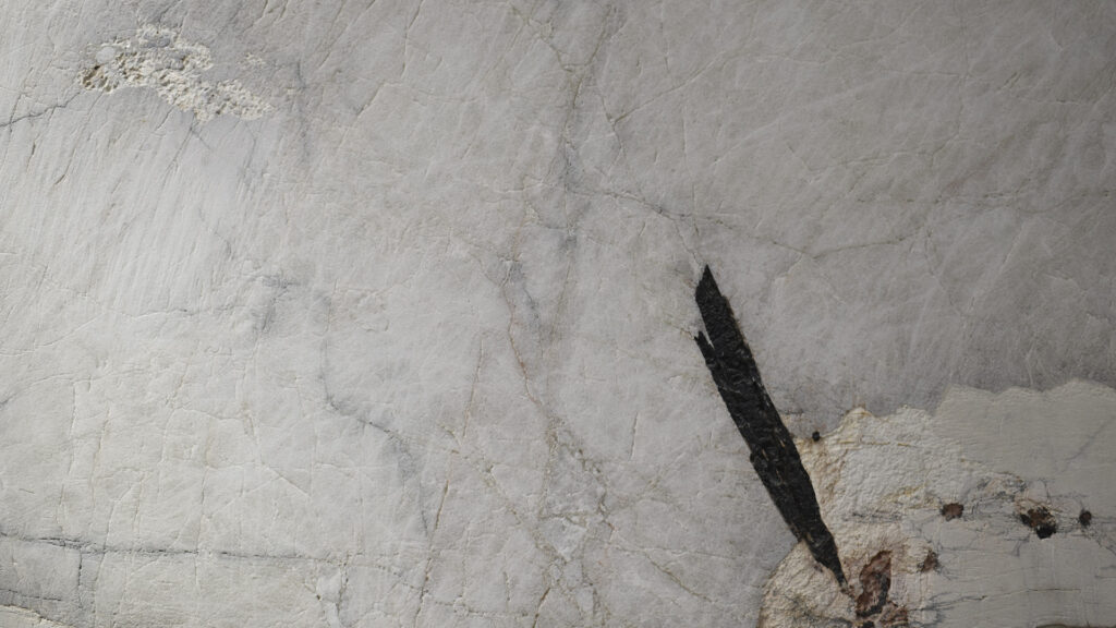 Granito Patagonia Deep natural con fondo blanco y gris, cristales de cuarzo y vetas oscuras, ideal para mesadas, revestimientos y proyectos de interiorismo de alto impacto.